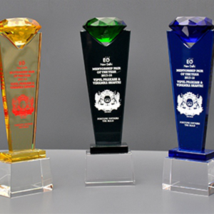 Customized Crystal trophy